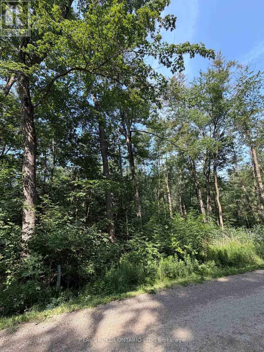 436123 43rd Line, Zorra, Ontario  N0J 1J0 - Photo 4 - X13612404