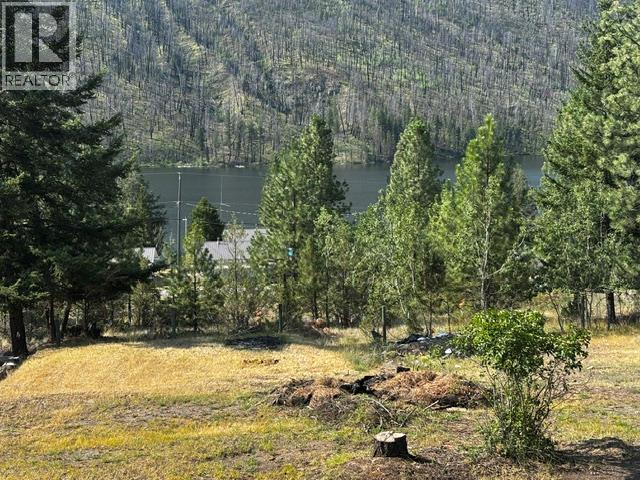 3030 Loon Lake Road, Loon Lake, British Columbia  V0K 1H0 - Photo 2 - 10395843