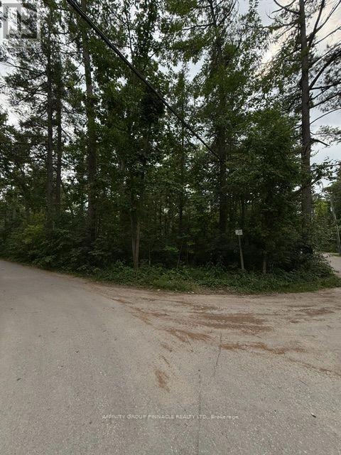 79 Irene Avenue, Kawartha Lakes, Ontario  K0M 1N0 - Photo 2 - X13612584