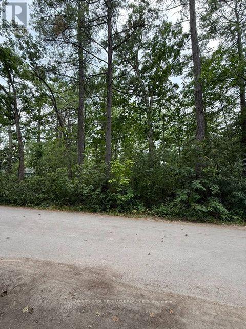 79 Irene Avenue, Kawartha Lakes, Ontario  K0M 1N0 - Photo 3 - X13612584