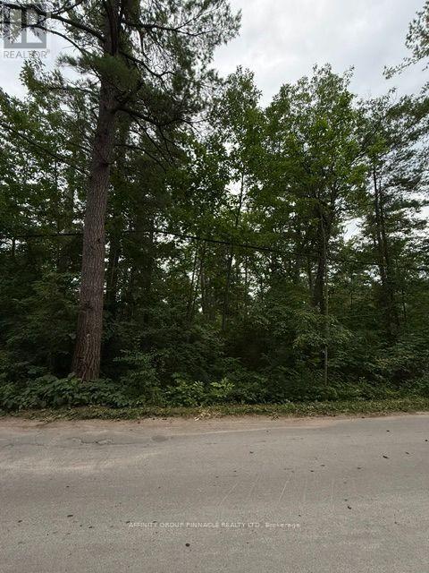 79 Irene Avenue, Kawartha Lakes, Ontario  K0M 1N0 - Photo 5 - X13612584