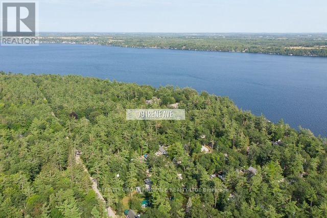 79 Irene Avenue, Kawartha Lakes, Ontario  K0M 1N0 - Photo 6 - X13612584