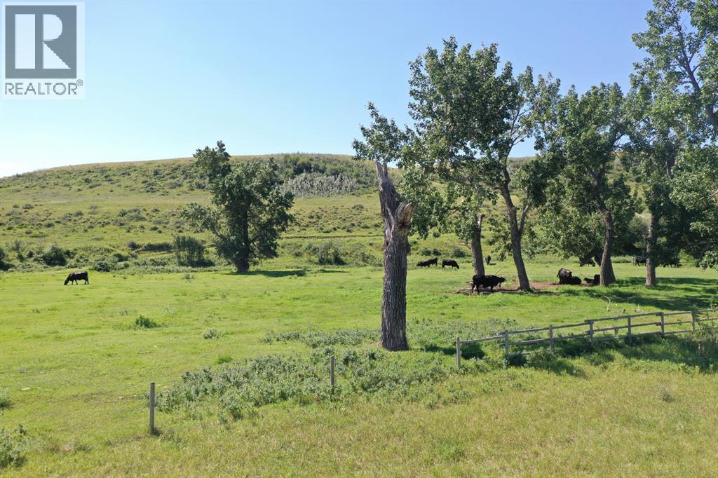 picture 41