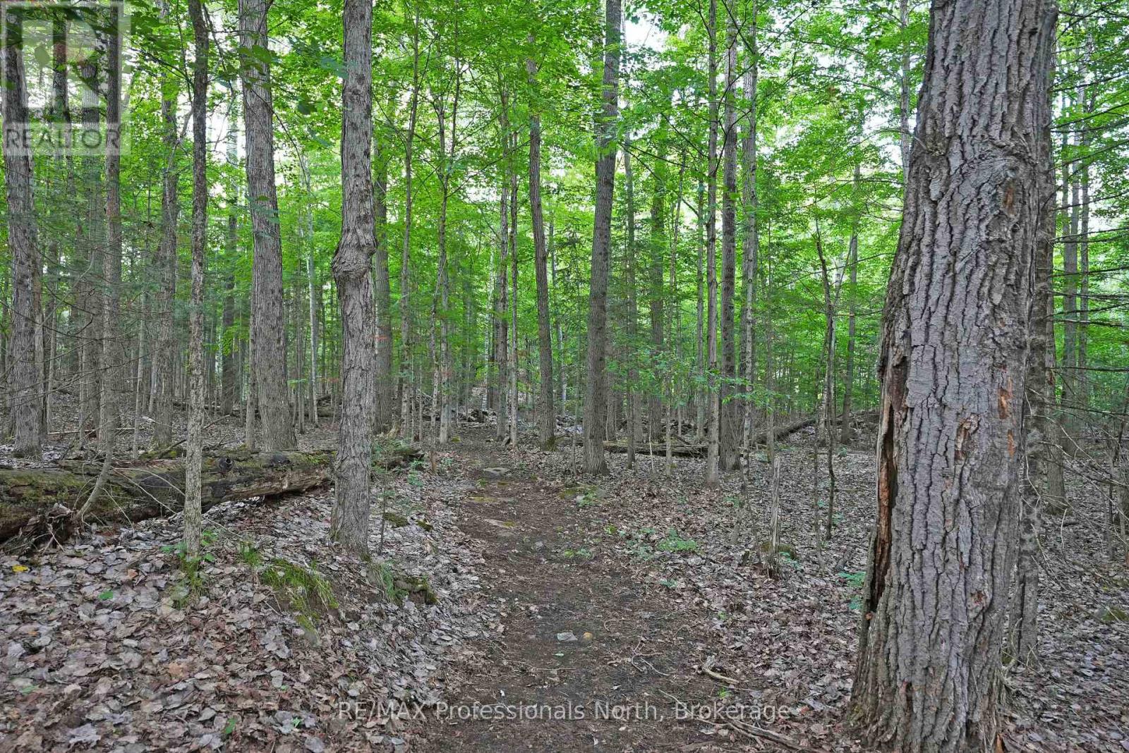 1018 Flagstone Lane, Minden Hills, Ontario  K0M 2K0 - Photo 47 - X13613054