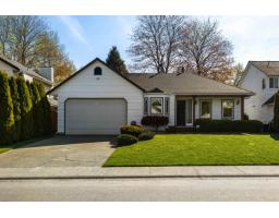 9366 209B STREET, Langley, British Columbia