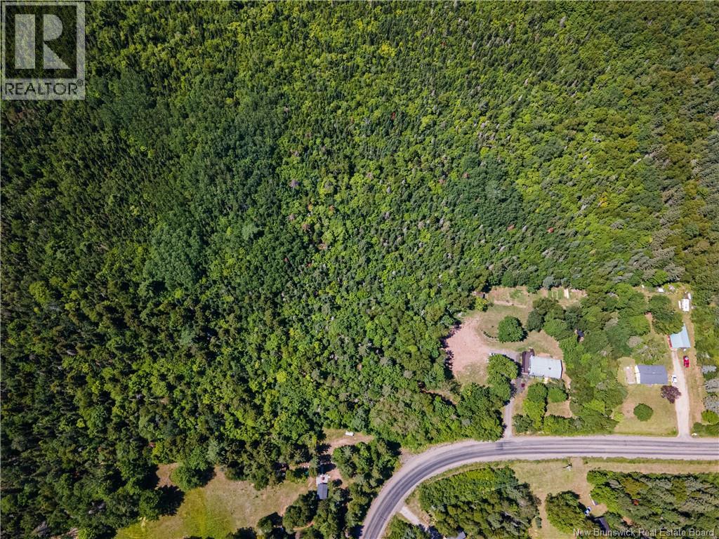 460 Anagance Ridge Road, Anagance, New Brunswick E4Z 1A8 - Photo 38 - NB144844