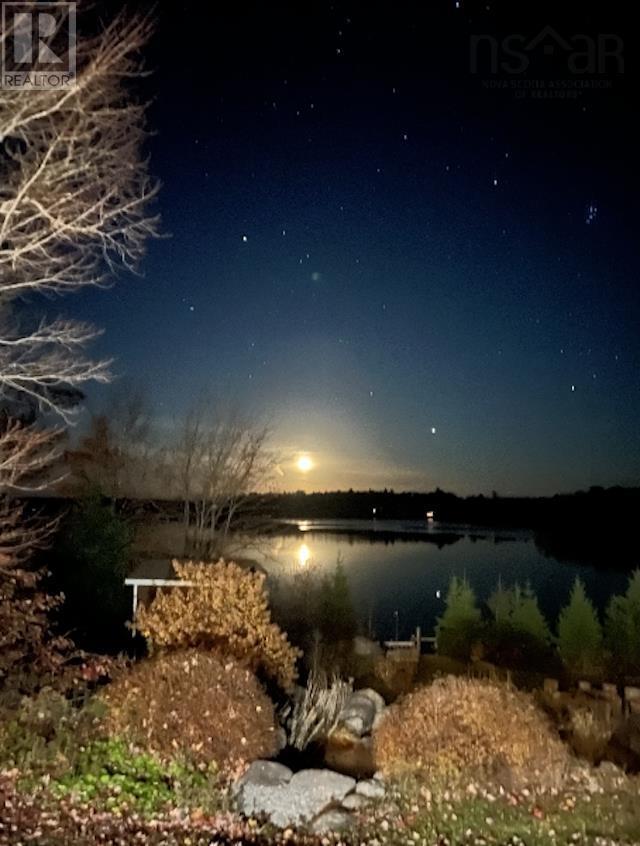 picture 31