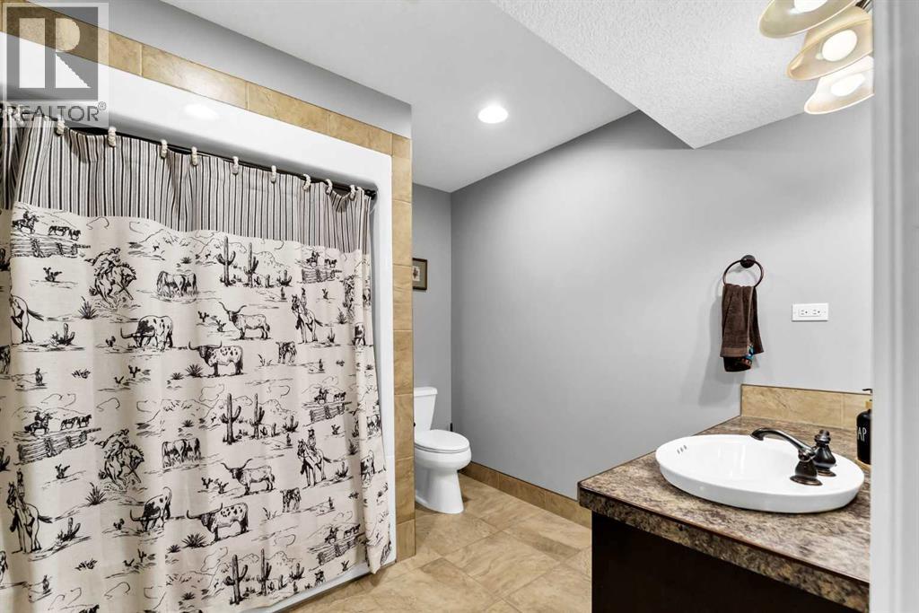 607 Tokar Road, Seven Persons, Alberta  T0K 1Z0 - Photo 45 - A2327906