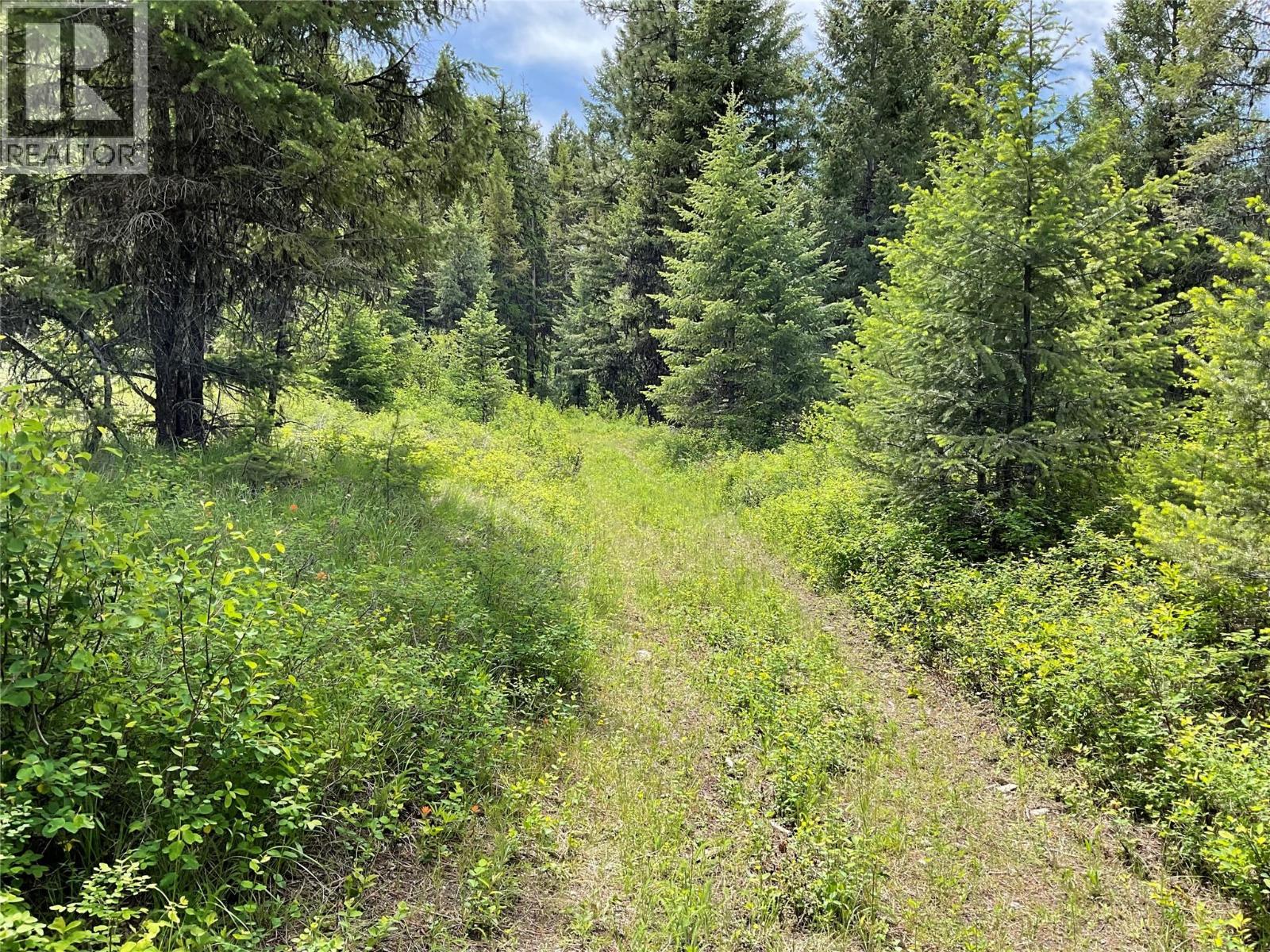 Lot 1 Nicholson Creek Road, Rock Creek, British Columbia  V0H 1Y0 - Photo 11 - 10396065