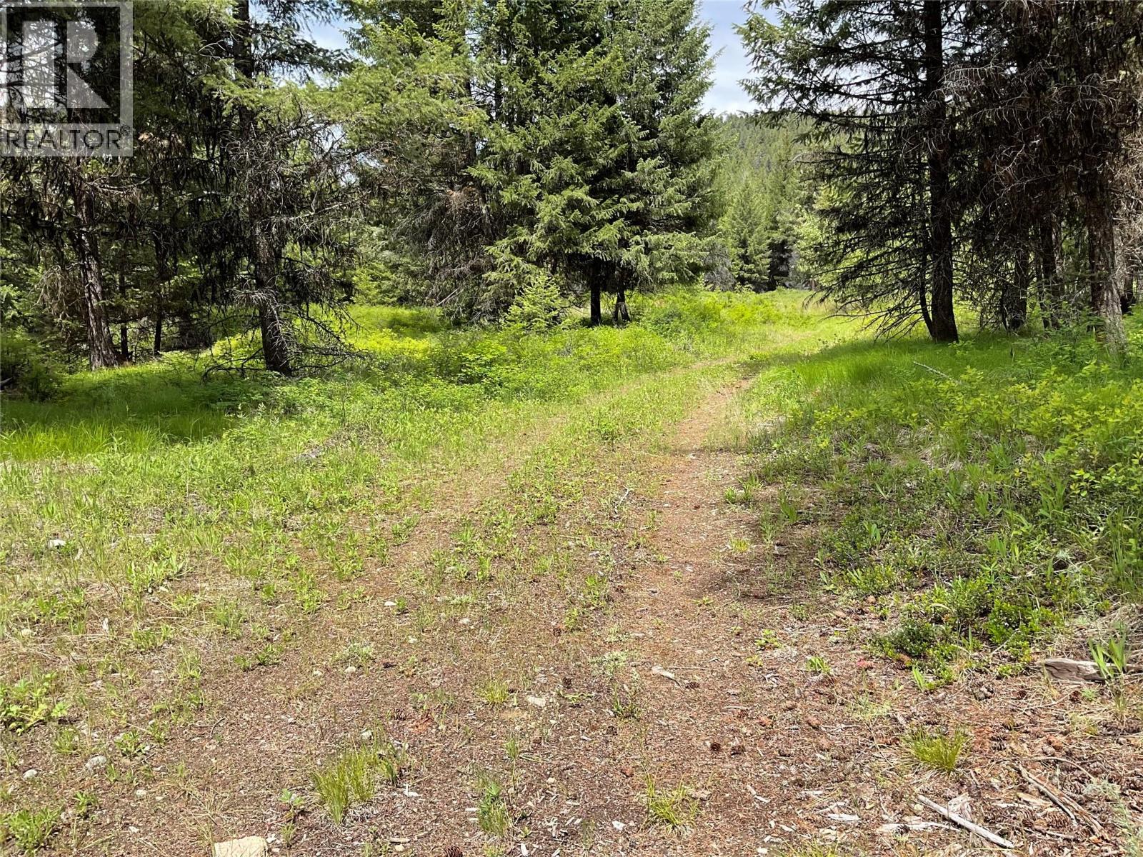 Lot 1 Nicholson Creek Road, Rock Creek, British Columbia  V0H 1Y0 - Photo 14 - 10396065