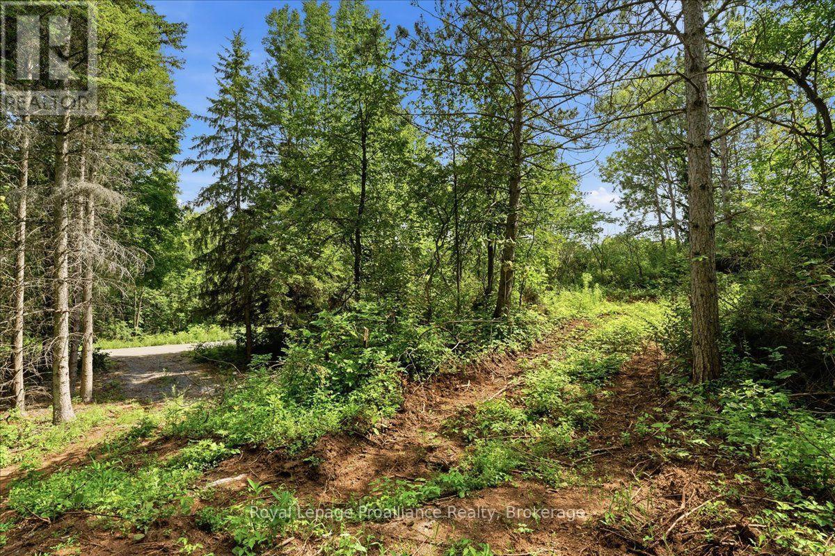 00 Otter Creek Road, Tweed, Ontario  K0K 3J0 - Photo 10 - X13613512