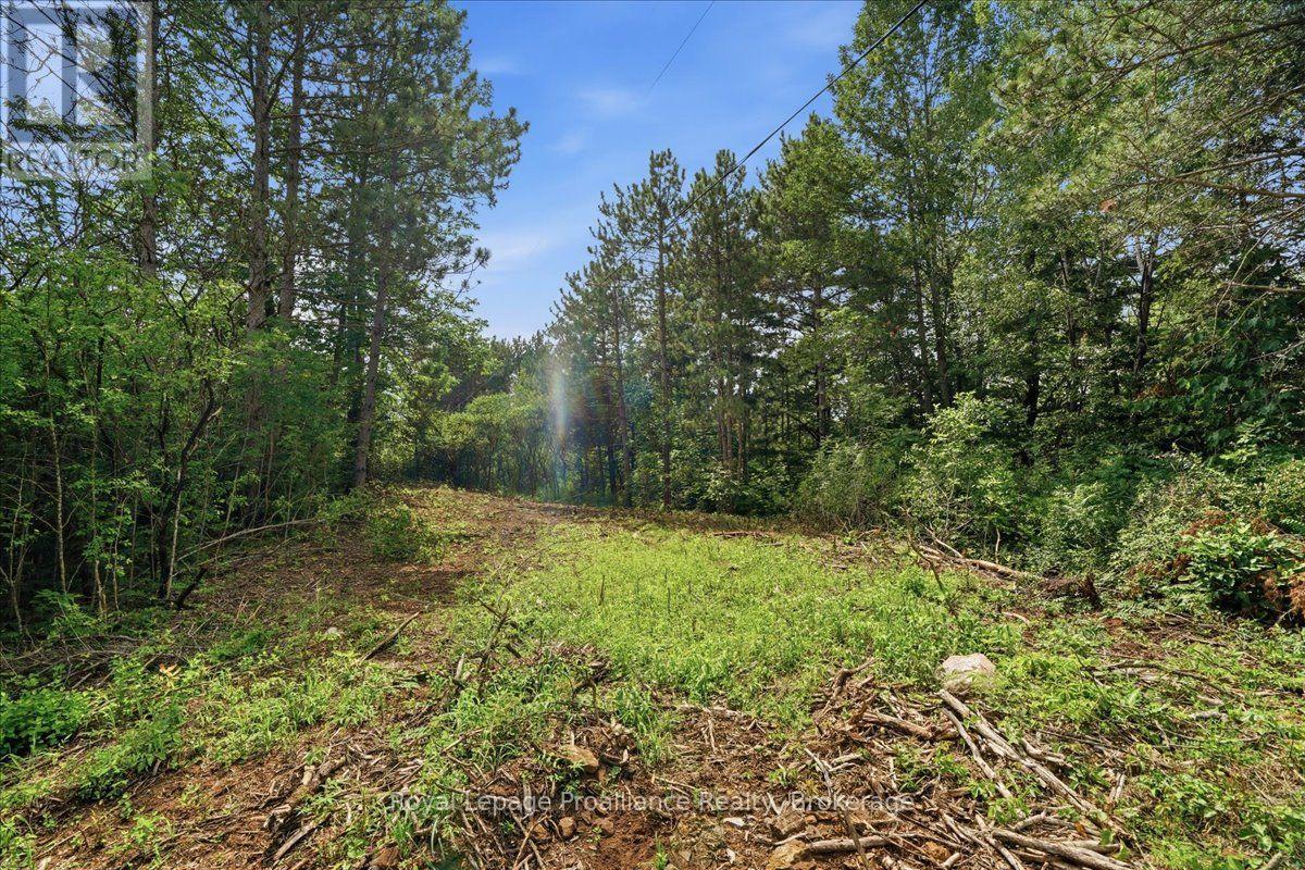 00 Otter Creek Road, Tweed, Ontario  K0K 3J0 - Photo 11 - X13613512