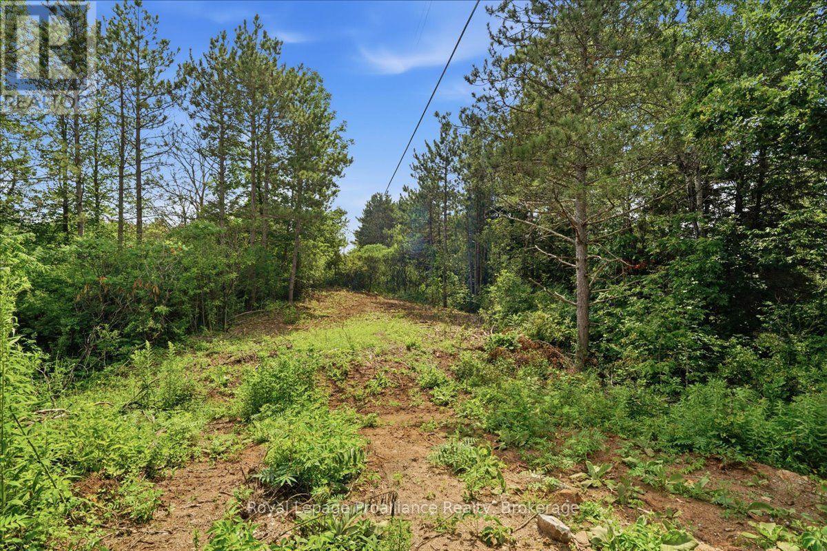 00 Otter Creek Road, Tweed, Ontario  K0K 3J0 - Photo 12 - X13613512