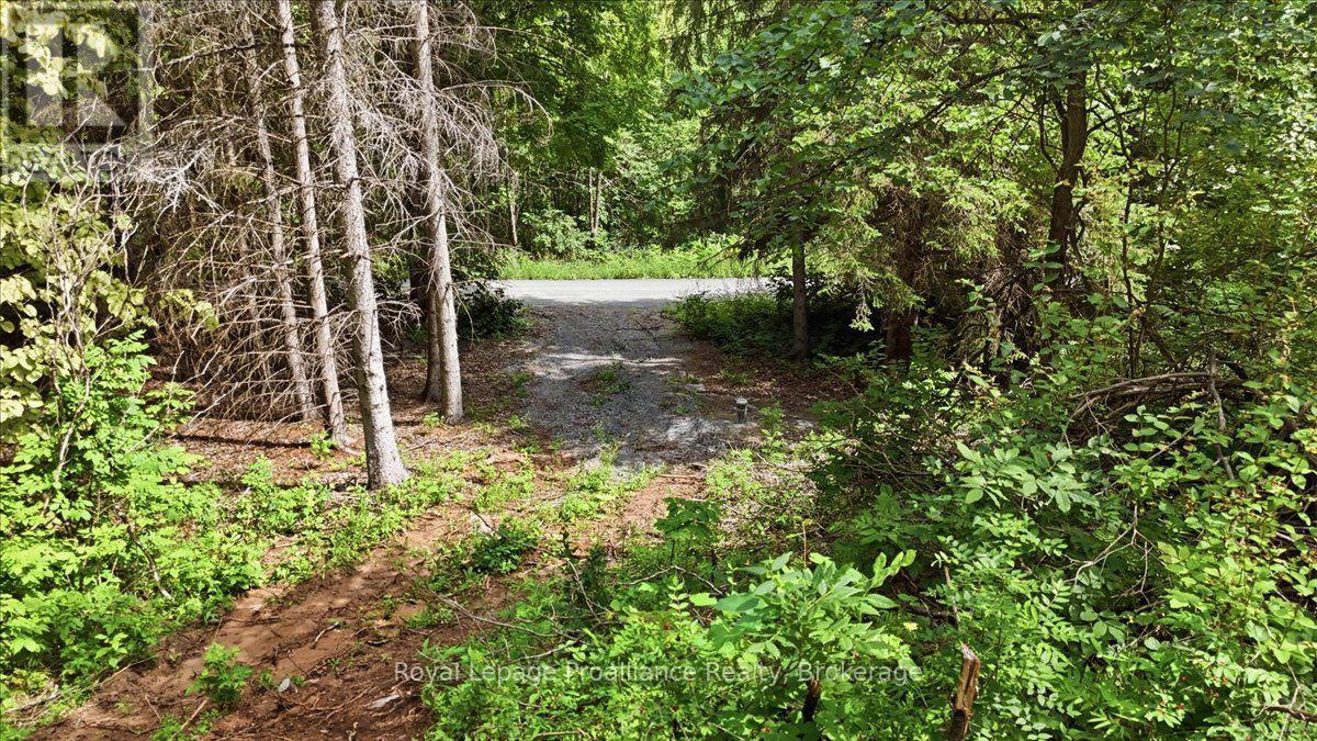 00 Otter Creek Road, Tweed, Ontario  K0K 3J0 - Photo 2 - X13613512