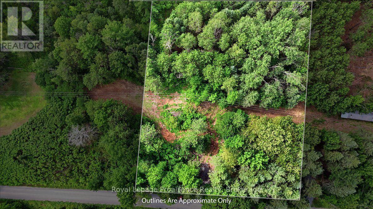 00 Otter Creek Road, Tweed, Ontario  K0K 3J0 - Photo 3 - X13613512