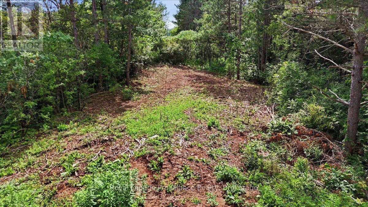 00 Otter Creek Road, Tweed, Ontario  K0K 3J0 - Photo 4 - X13613512