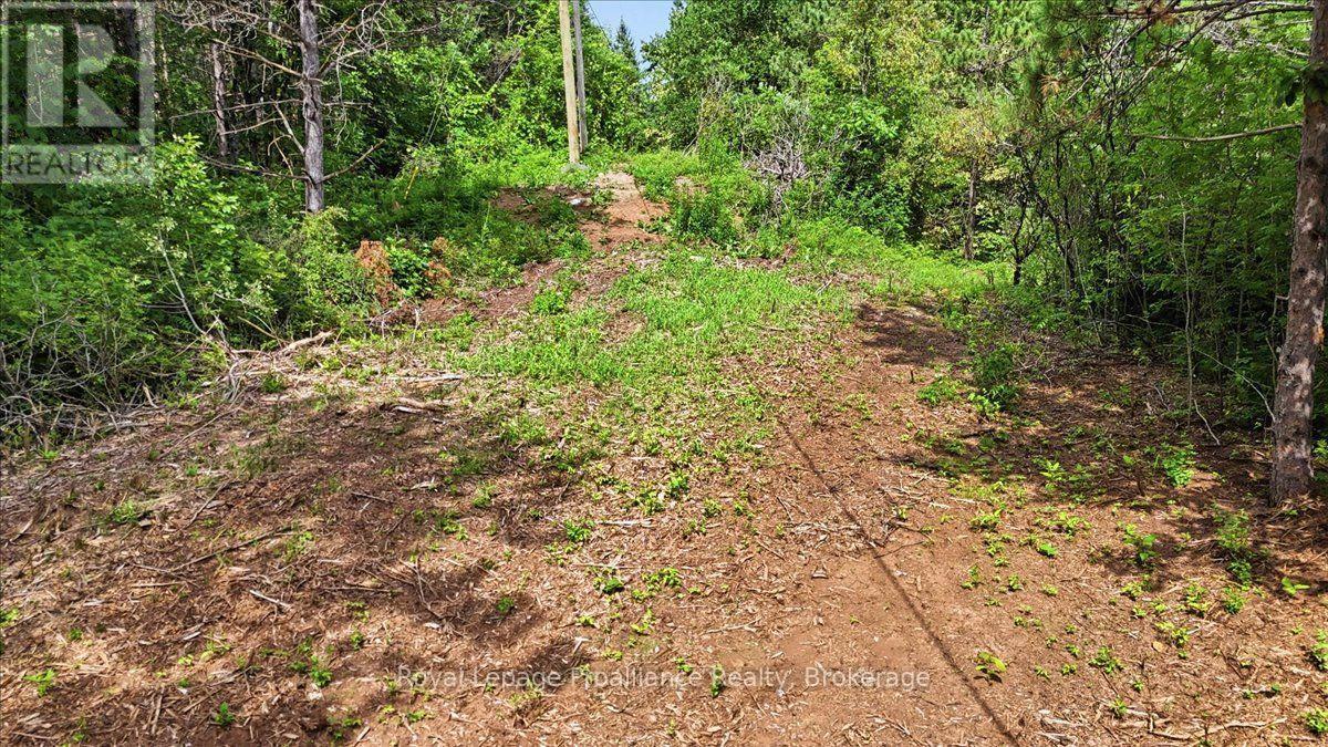 00 Otter Creek Road, Tweed, Ontario  K0K 3J0 - Photo 5 - X13613512