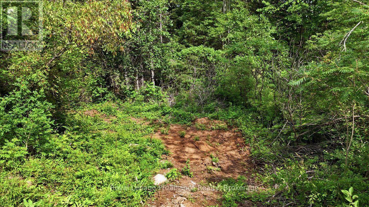 00 Otter Creek Road, Tweed, Ontario  K0K 3J0 - Photo 6 - X13613512