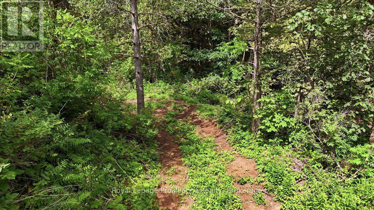 00 Otter Creek Road, Tweed, Ontario  K0K 3J0 - Photo 7 - X13613512