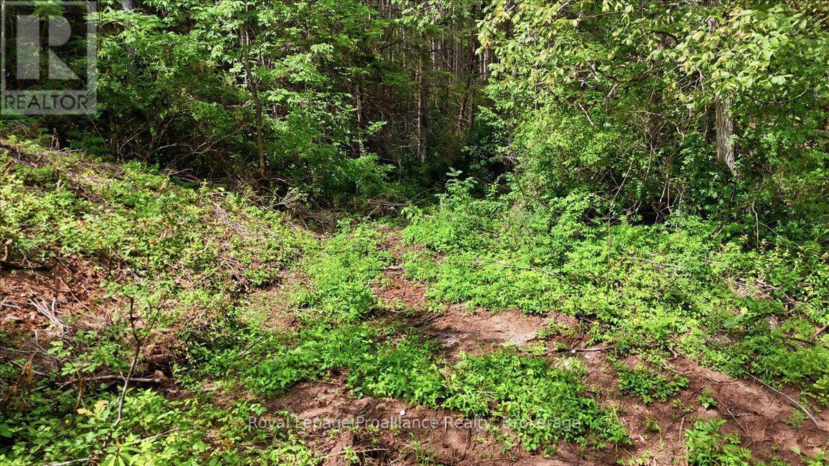 00 Otter Creek Road, Tweed, Ontario  K0K 3J0 - Photo 8 - X13613512