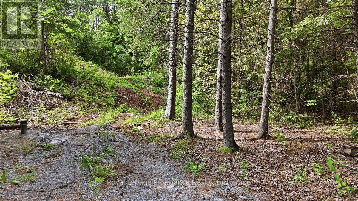 00 Otter Creek Road, Tweed, Ontario  K0K 3J0 - Photo 9 - X13613512