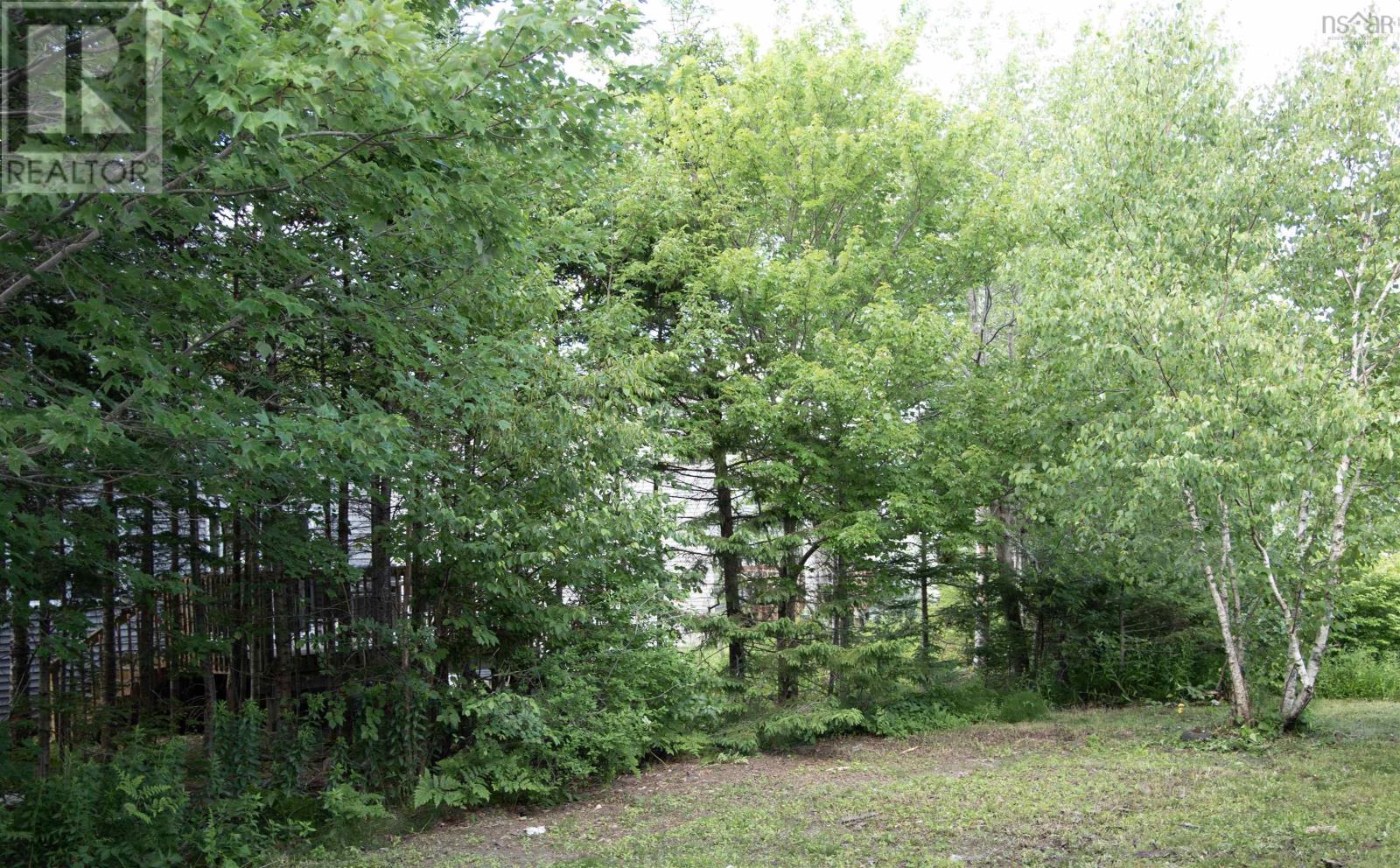 17 Maple Drive, Timberlea, Nova Scotia  B3T 1C2 - Photo 6 - 202618877