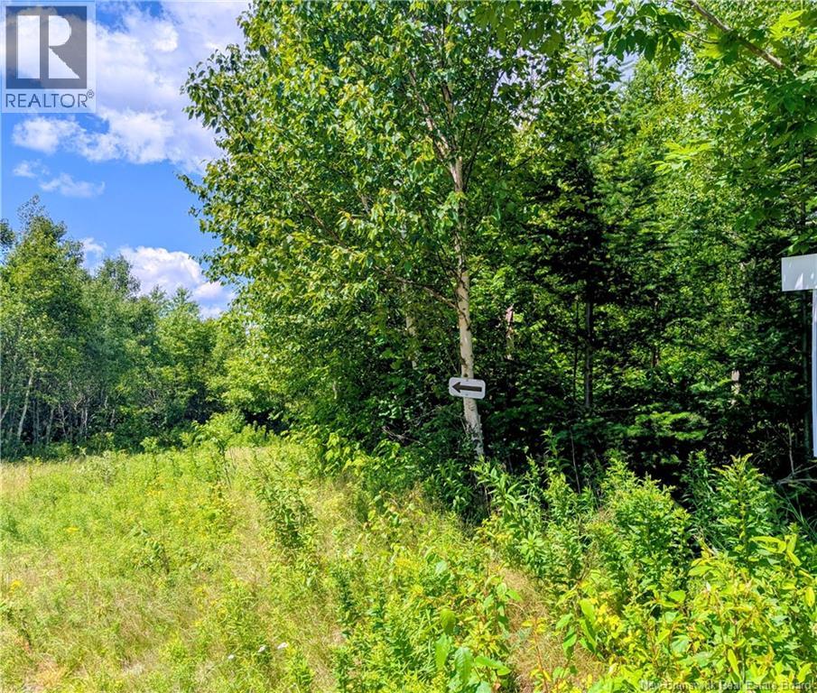 Lot 8 Golden Ridge Road, East Knowlesville, New Brunswick