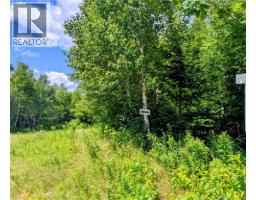 Lot 8 Golden Ridge Road, East Knowlesville, New Brunswick