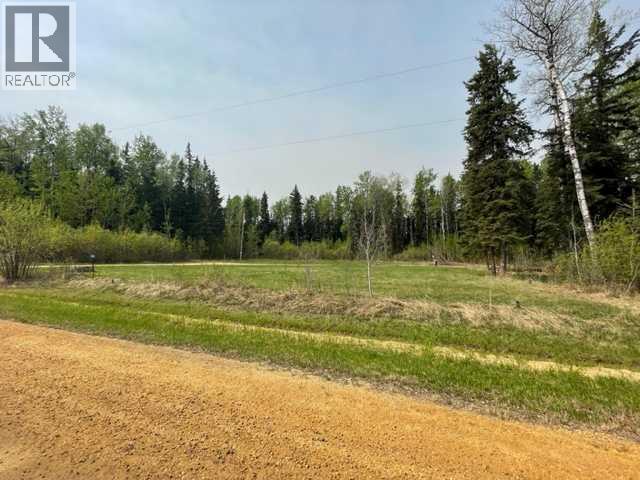 851 Wolf Trail, Sandy Lake, Alberta  T0G 2K0 - Photo 6 - A2245579