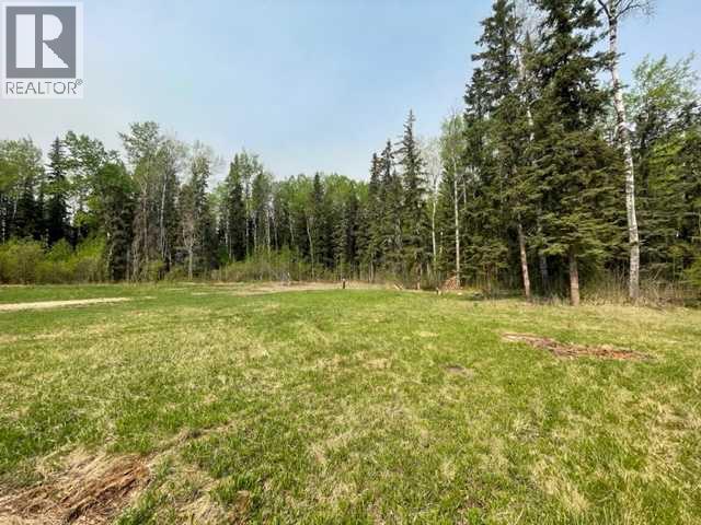 851 Wolf Trail, Sandy Lake, Alberta  T0G 2K0 - Photo 8 - A2245579