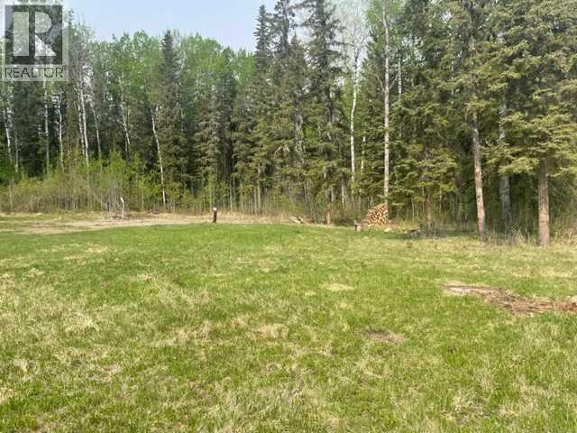 851 Wolf Trail, Sandy Lake, Alberta  T0G 2K0 - Photo 7 - A2245579