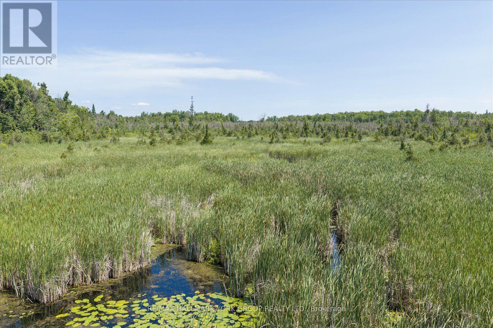 Lot 23 10 Concession, Kawartha Lakes, Ontario  K0L 1T0 - Photo 13 - X13613654