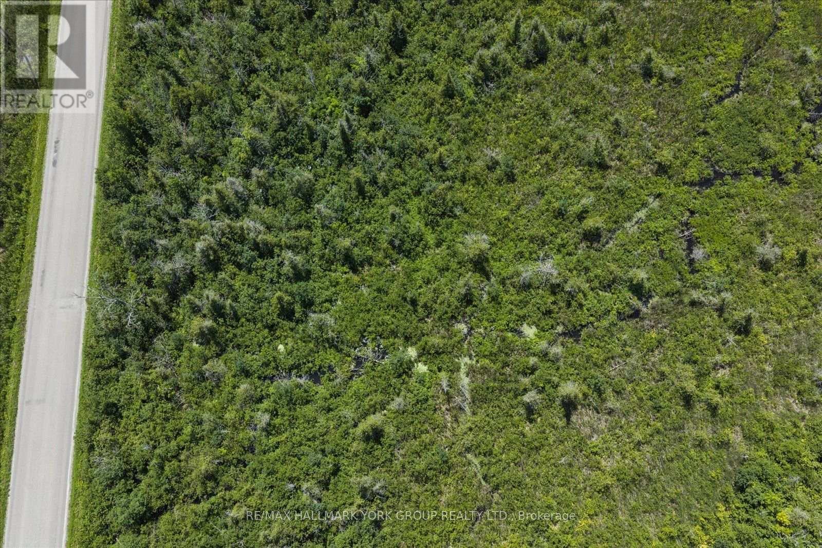 Lot 23 10 Concession, Kawartha Lakes, Ontario  K0L 1T0 - Photo 14 - X13613654