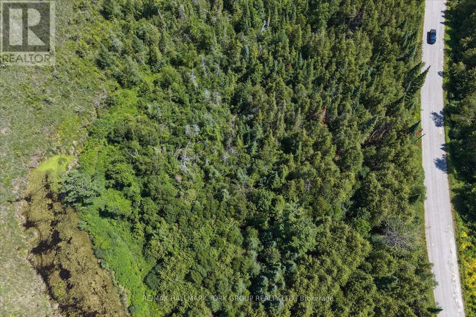 Lot 23 10 Concession, Kawartha Lakes, Ontario  K0L 1T0 - Photo 17 - X13613654