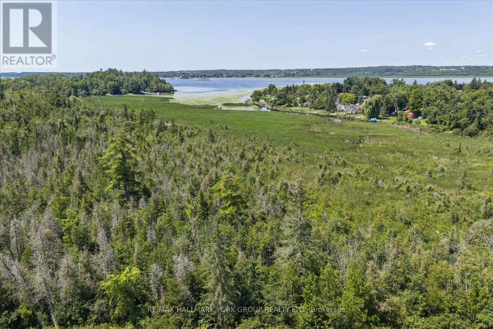 Lot 23 10 Concession, Kawartha Lakes, Ontario  K0L 1T0 - Photo 19 - X13613654