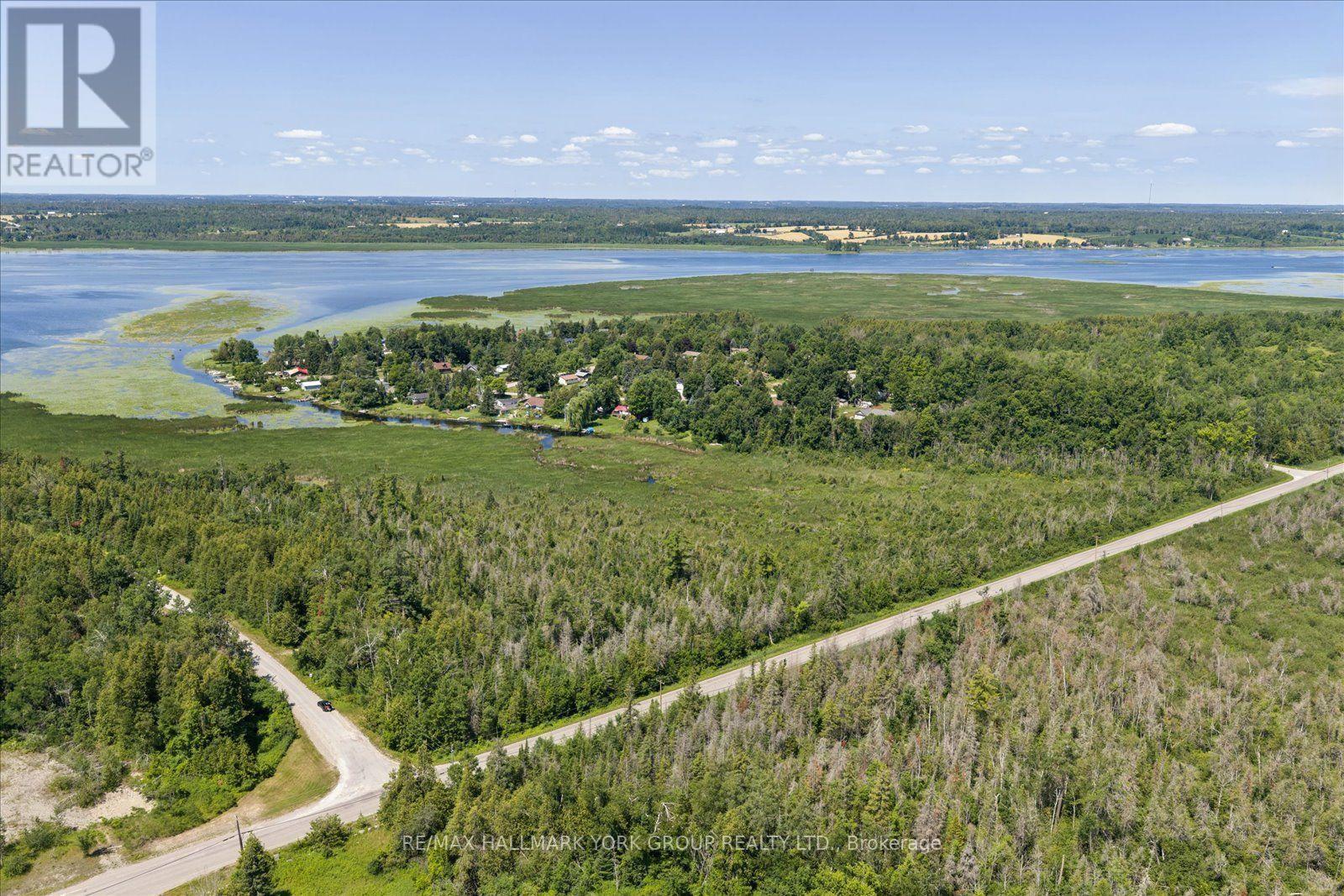 Lot 23 10 Concession, Kawartha Lakes, Ontario  K0L 1T0 - Photo 4 - X13613654