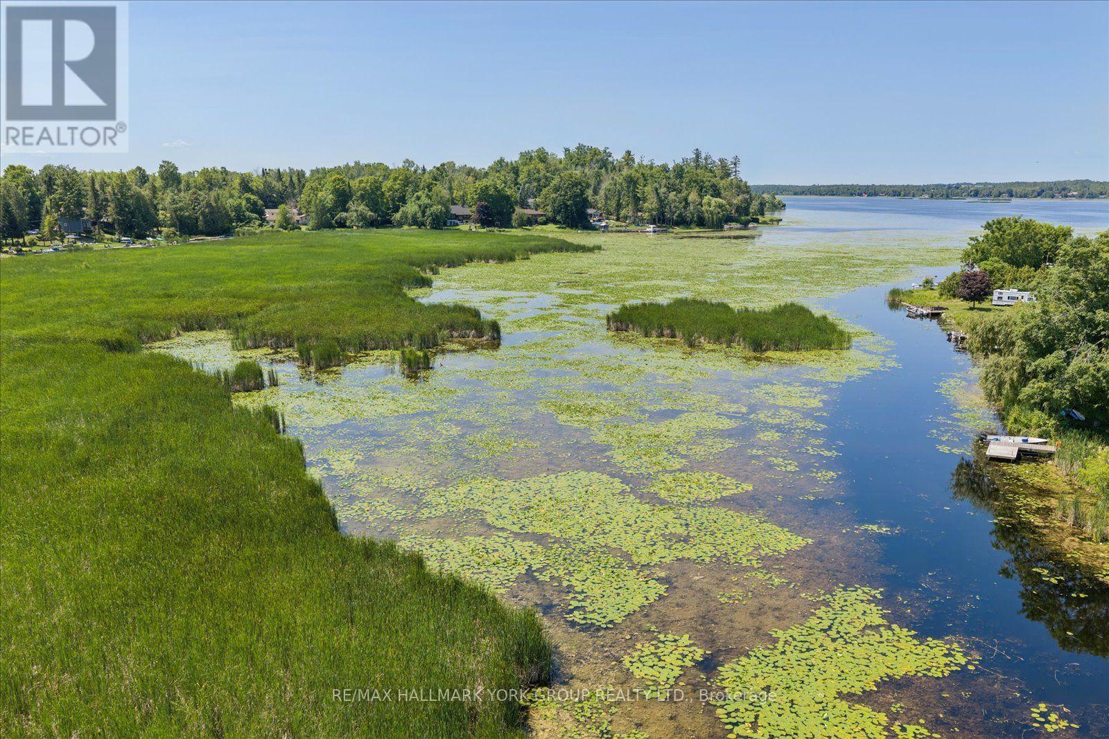 Lot 23 10 Concession, Kawartha Lakes, Ontario  K0L 1T0 - Photo 6 - X13613654