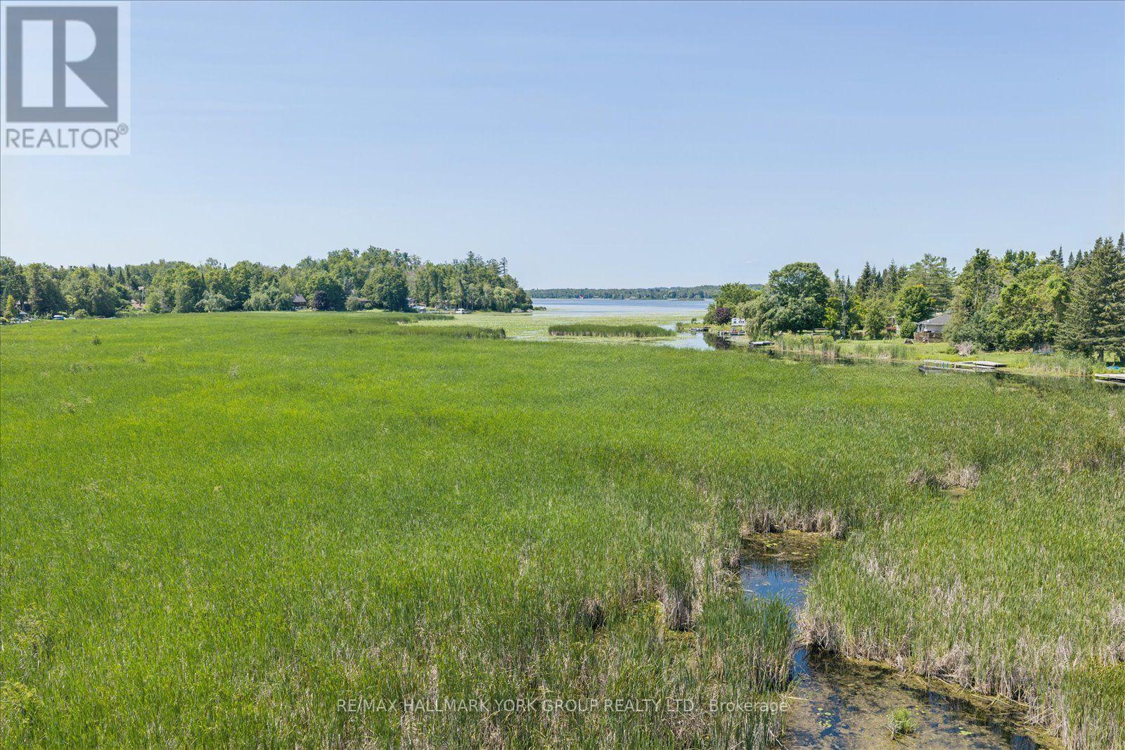 Lot 23 10 Concession, Kawartha Lakes, Ontario  K0L 1T0 - Photo 7 - X13613654