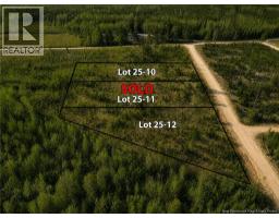 LOT 25-10 Hannay Road, Galloway, New Brunswick