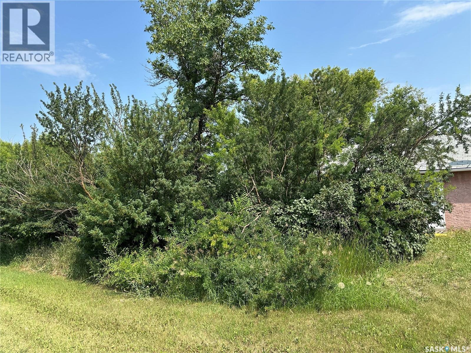 118 Sharman Street, Silton, Saskatchewan  S0G 4L0 - Photo 23 - SK043857