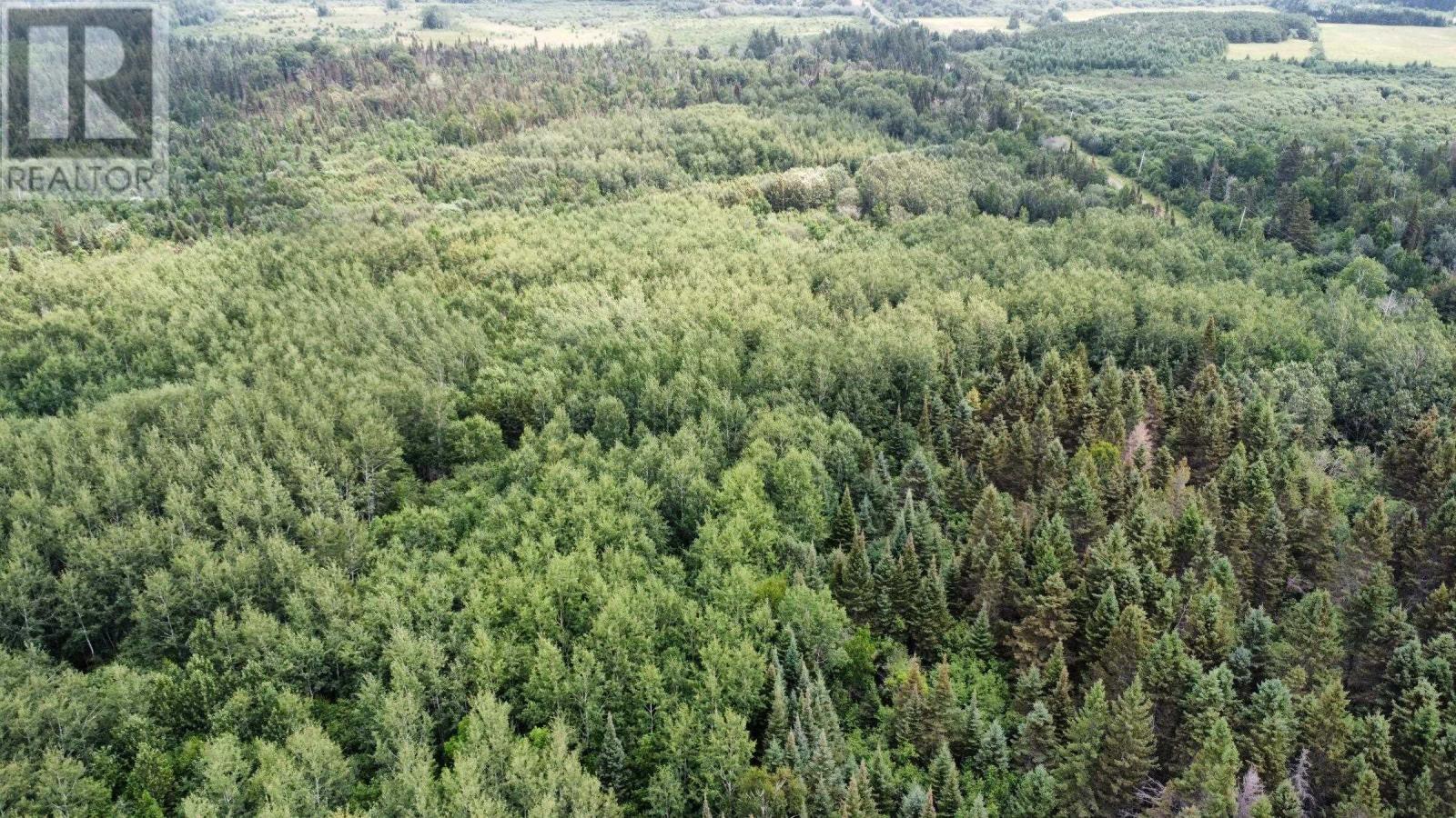 0 Third Rd, Marks Township, Ontario  P0T 2K0 - Photo 11 - TB2602143