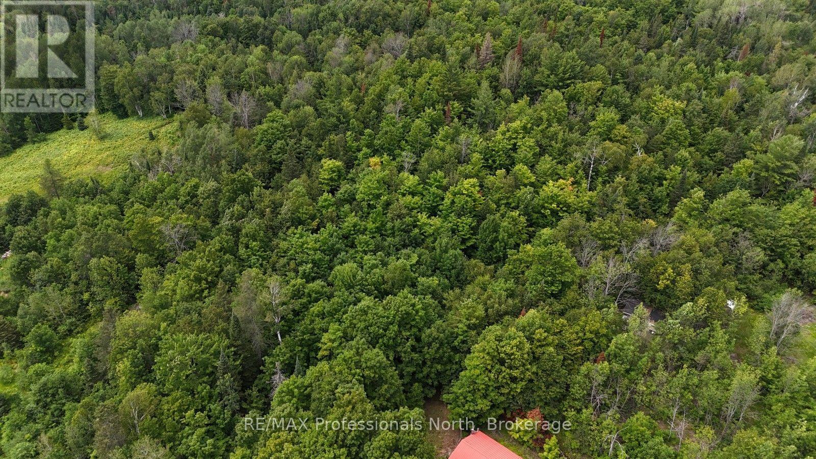 7923 Buckhorn (Cty Rd 507) Road, Highlands East, Ontario  K0M 1R0 - Photo 2 - X13613978