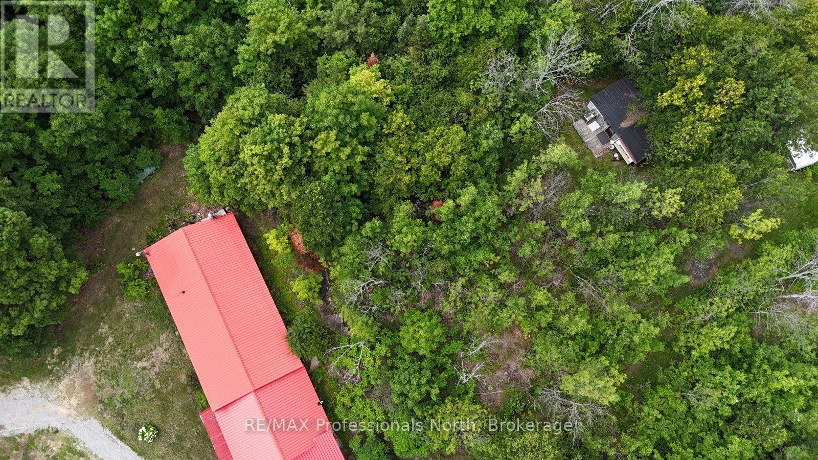 7923 Buckhorn (Cty Rd 507) Road, Highlands East, Ontario  K0M 1R0 - Photo 5 - X13613978