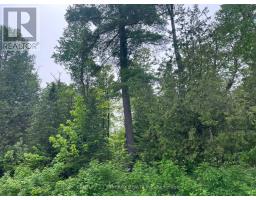 00 BELLAMY ROAD, McNab/Braeside, Ontario