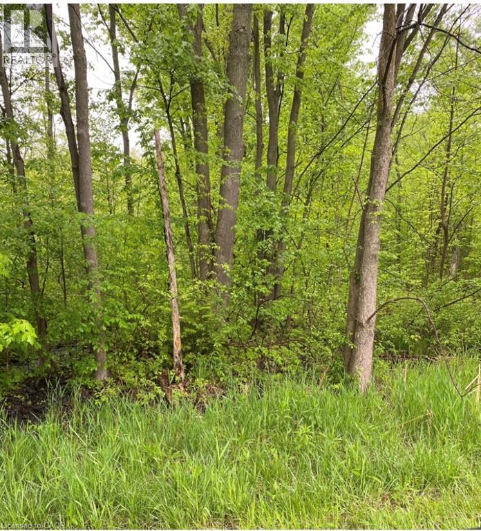 N/a Regional Rd 46 Road, North Dumfries, Ontario  N1R 5S3 - Photo 2 - 40851086