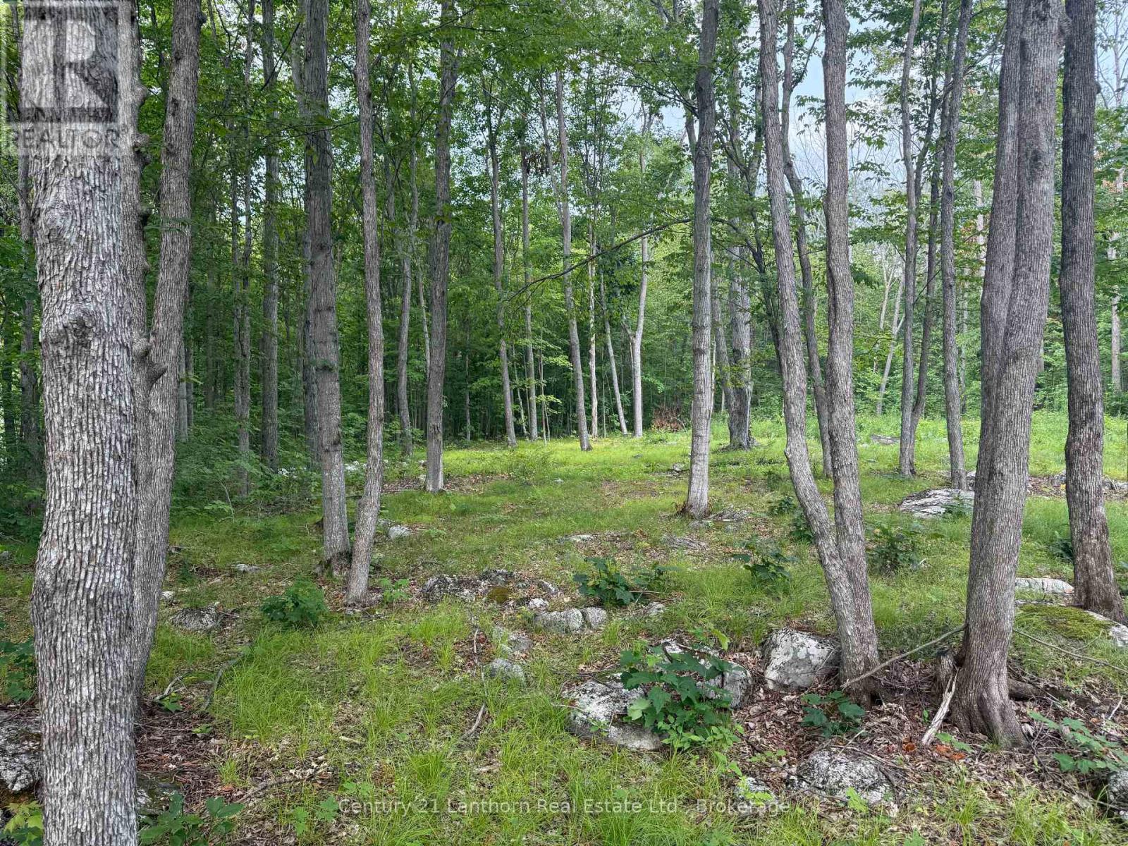 554 Pigden Road, Madoc, Ontario  K0K 2K0 - Photo 2 - X13614366