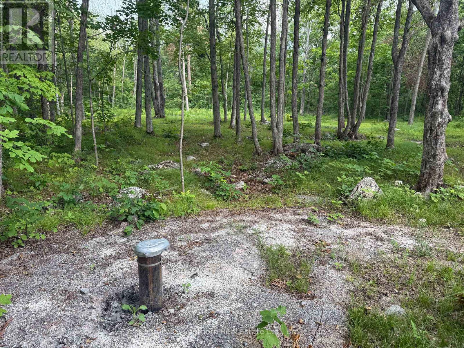 554 Pigden Road, Madoc, Ontario  K0K 2K0 - Photo 3 - X13614366