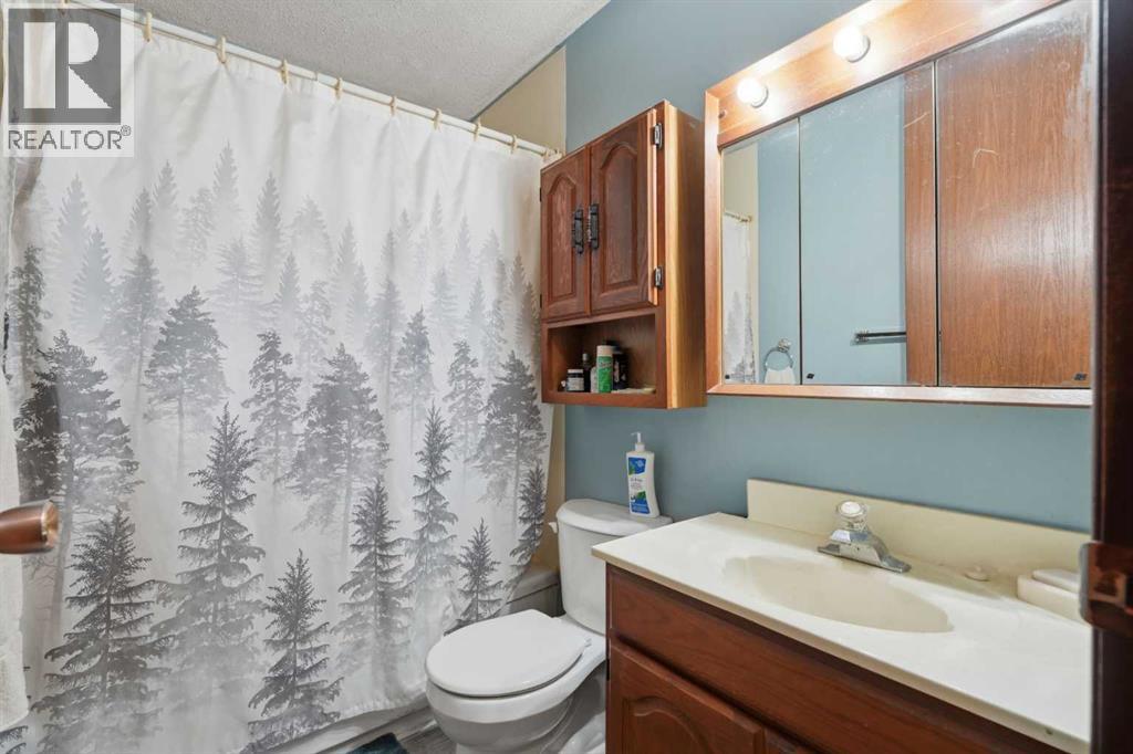 424 Acacia Drive SE, Airdrie, Alberta  T4B 1E9 - Photo 17 - A2331257