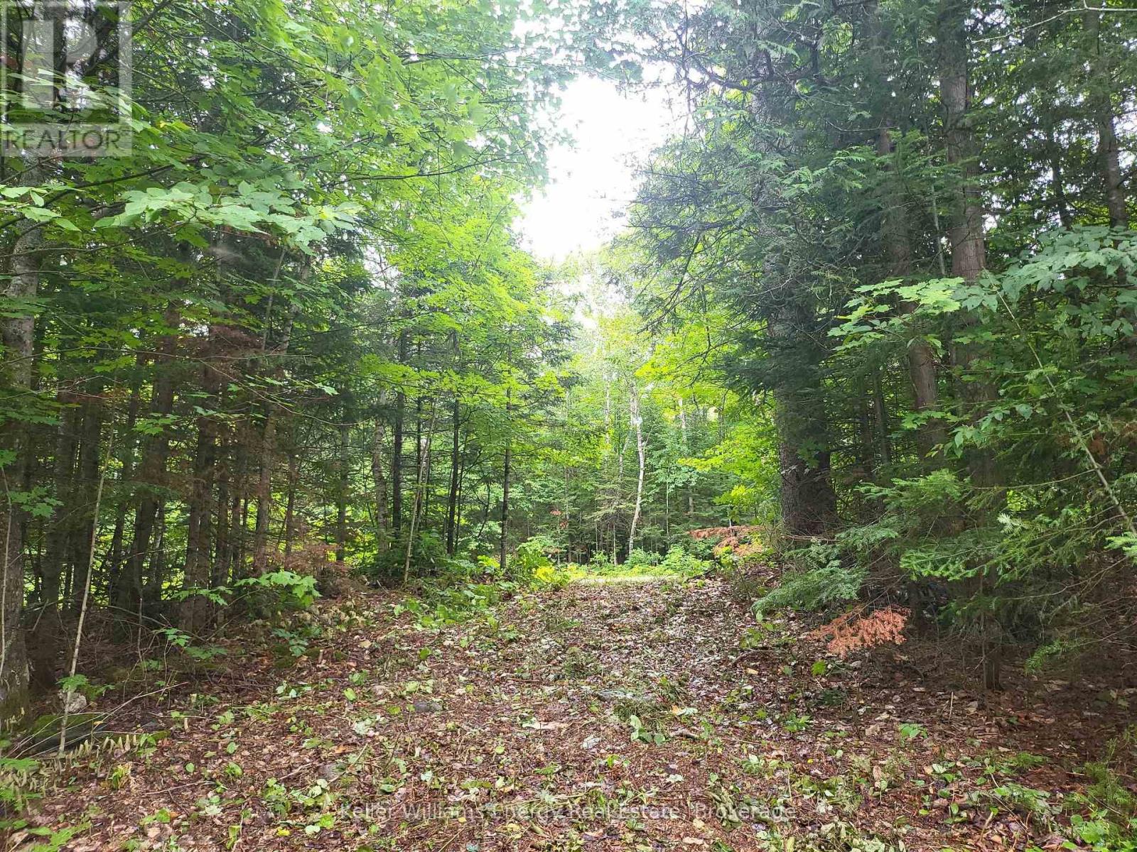 N/a Cross Country Road, Hastings Highlands, Ontario  K0L 1C0 - Photo 15 - X13546108