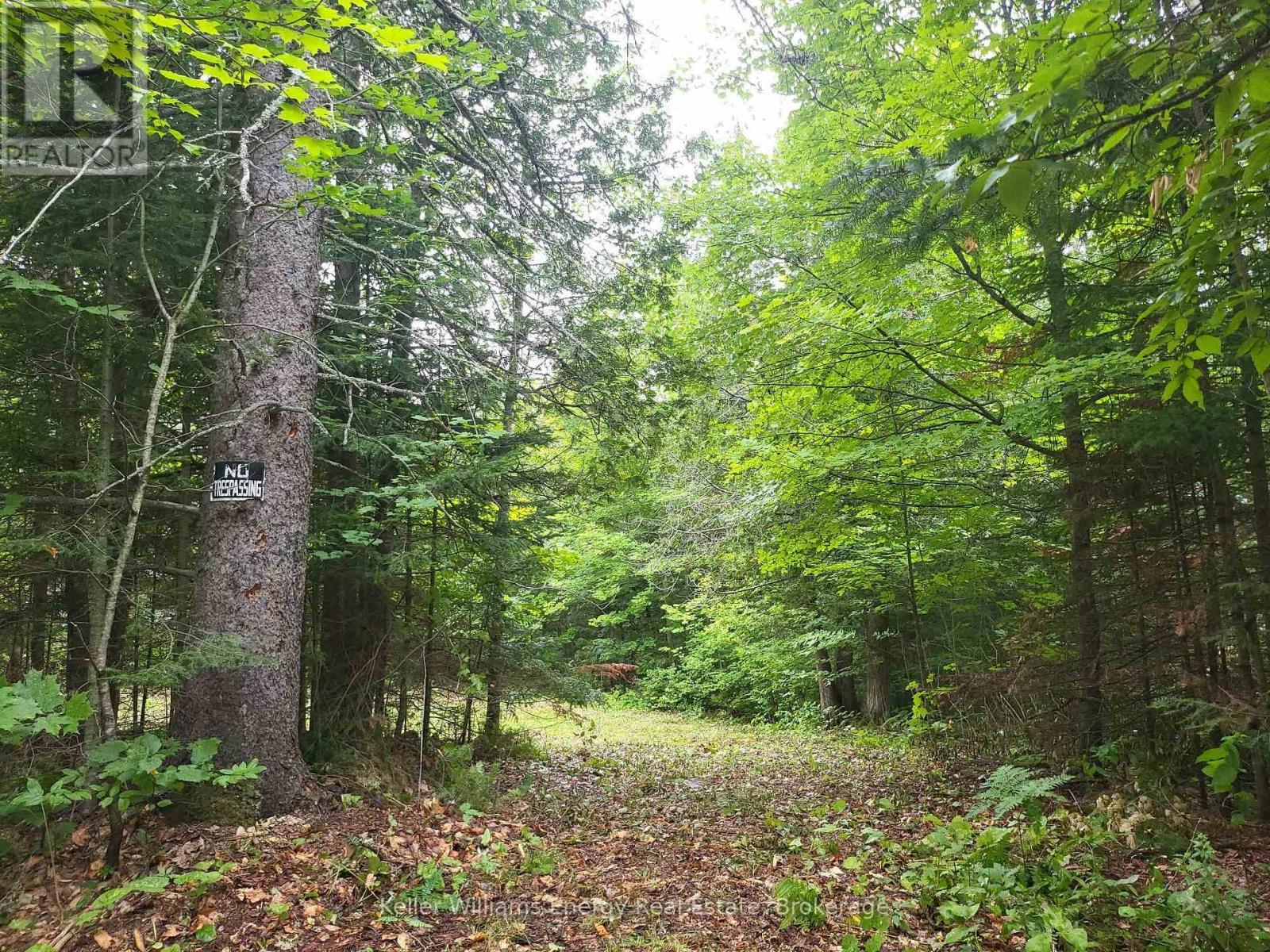 N/a Cross Country Road, Hastings Highlands, Ontario  K0L 1C0 - Photo 12 - X13546108